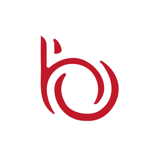 Biunivoca Team