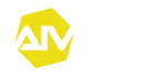 Accademia Italiana Videogiochi